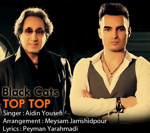 Aydin Black Cats   Top Top